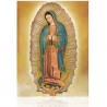 Virgen de Guadalupe (completa)