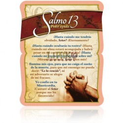 Salmo 13