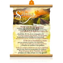 CS05 salmo 25