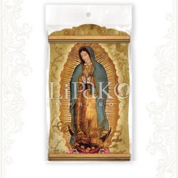 CC20MB ¿No estoy yo aquí?