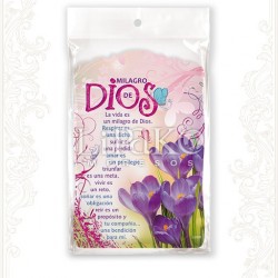 CC91MC Milagro de Dios