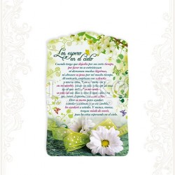 CC99S Los espero en el cielo