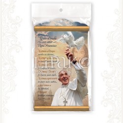 CC104MB Papa Francisco Visita A México