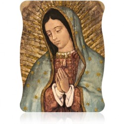 CG20S Virgen de Guadalupe