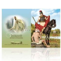 NG15 san martín caballero