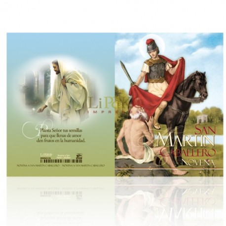 NG15 san martín caballero