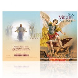 NG17 san miguel arcángel