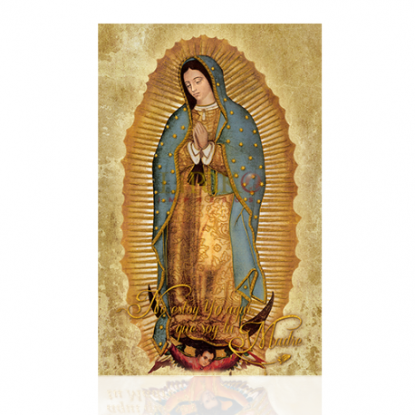 Virgen de Guadalupe (completa)