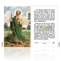 090ES16L San Judas Tadeo (casos difíciles)