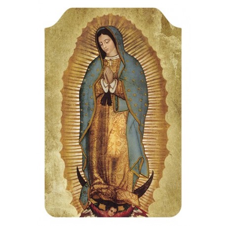 Virgen de Guadalupe (Completa)