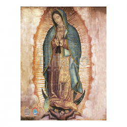 01CME70 Guadalupe (firmas)